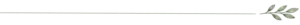 Leaf-line divider -Leaf RIGHT