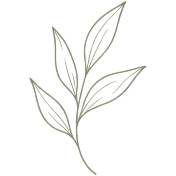 Sage Green Wellness Icon Collection - SPRIG LEAF